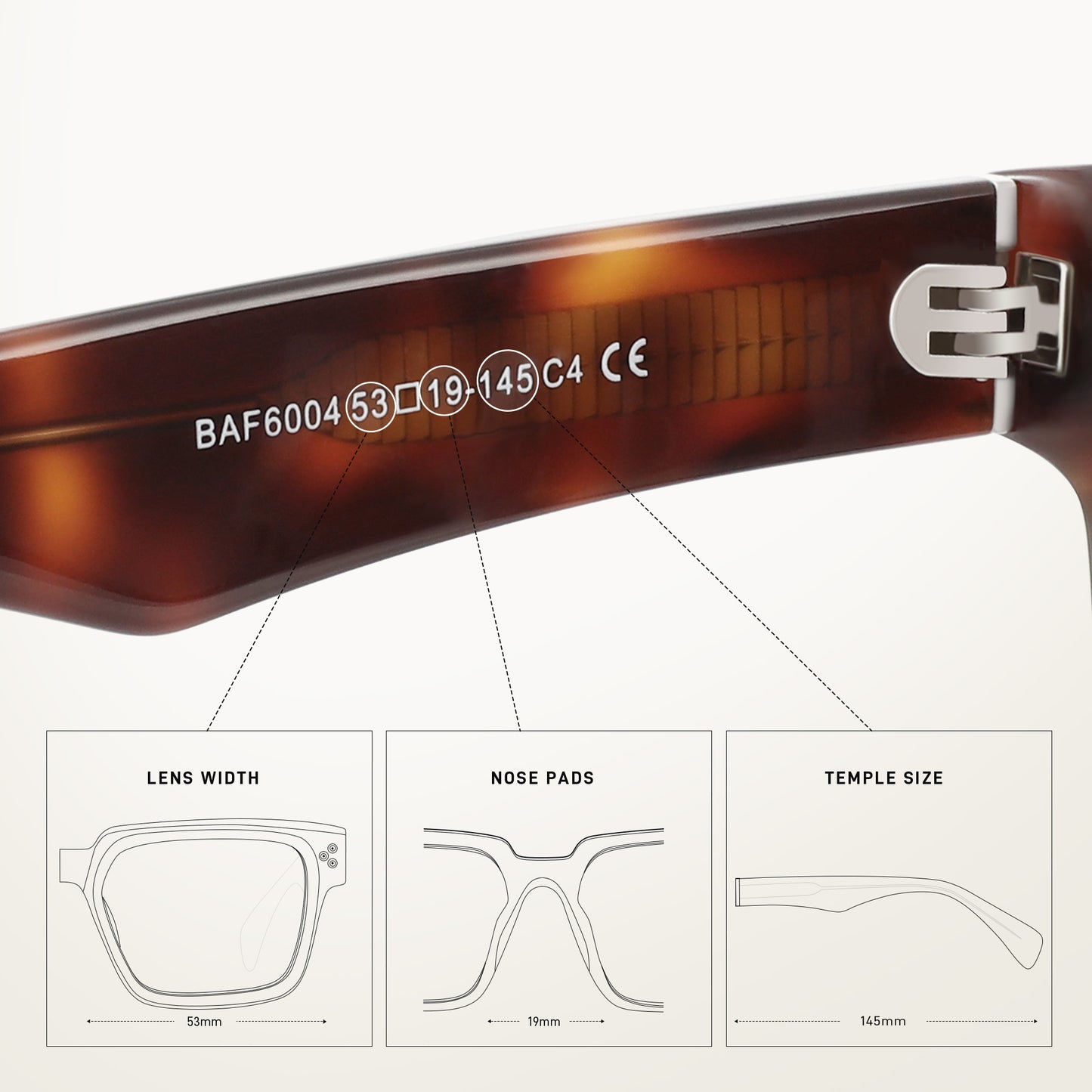 6004 SUNGLASSES IN ACETATE